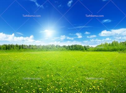 تصویر با کیفیت طبیعت